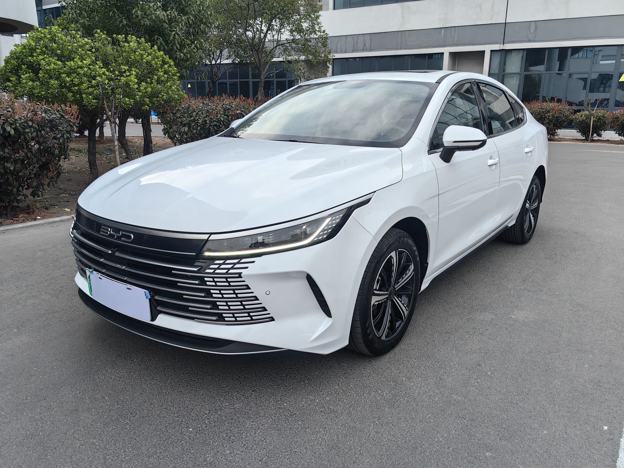 2024款 驱逐舰05 荣耀版 DM-i 120KM 尊荣型图片
