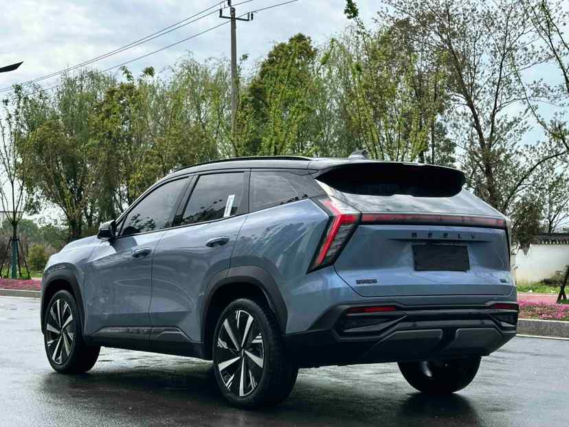 吉利汽车 博越L 2023款 2.0TD DCT尊贵型(4)