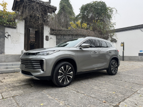 星途凌云 2024款 300T 两驱星耀版