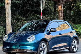 欧拉好猫 2023款 401km标准续航 豪华型 磷酸铁锂