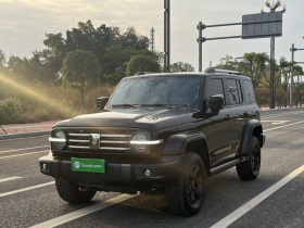 坦克300 2021款 城市版 2.0T 很有型