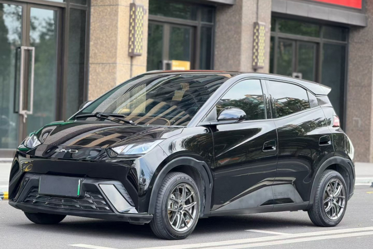 比亚迪 海鸥 2023款 活力版车身外观6004