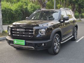 哈弗大狗 2021款 2.0T DCT两驱中华猎犬版