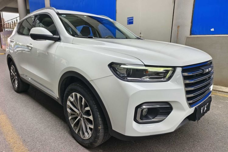哈弗H6 2020款 2.0GDIT 自动铂金豪华版车身外观6002