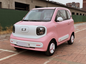 奔腾小马 2025款 222km 闪电马