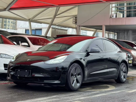 特斯拉 Model 3 2022款 后轮驱动版