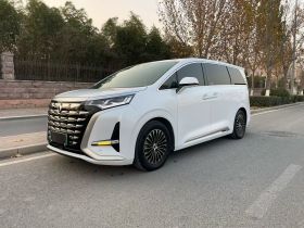 腾势D9 2024款 DM-i 980 四驱尊荣型