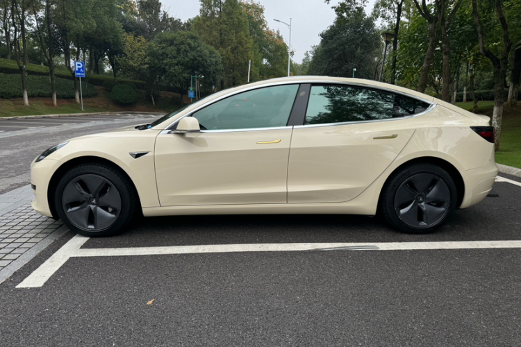 特斯拉 Model 3 2019款 标准续航后驱升级版车身外观6013