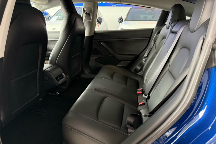 特斯拉 Model 3 2019款 标准续航后驱升级版车身外观6009