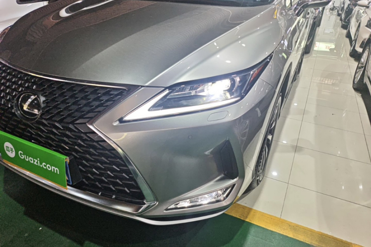 雷克萨斯RX 2020款 改款 300 两驱舒适版车身外观6005