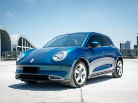 欧拉好猫 2021款 400km标准续航 维纳斯版 磷酸铁锂