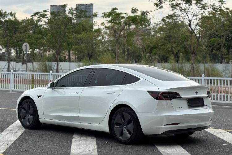 特斯拉 Model 3 2020款 改款 长续航后轮驱动版车身外观6008