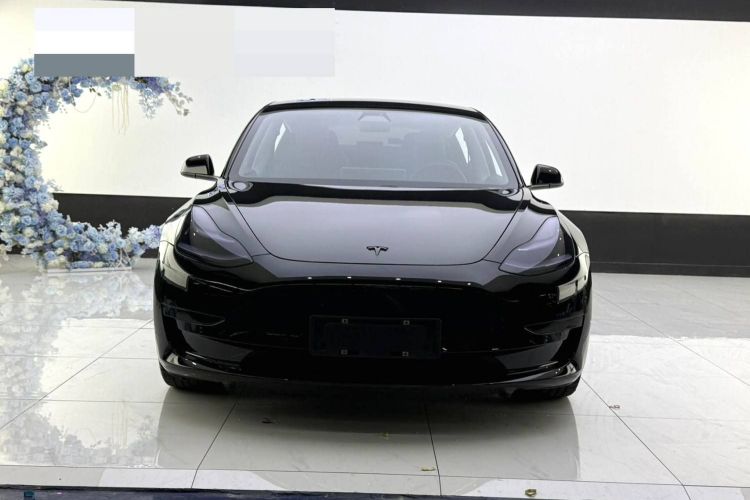 特斯拉 Model 3 2020款 标准续航后驱升级版车身外观6001