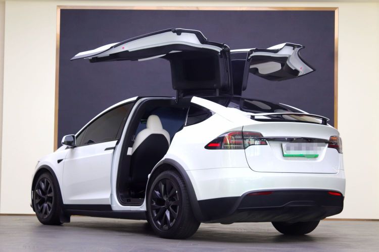 特斯拉 Model X 2023款 双电机全轮驱动版车身外观6006