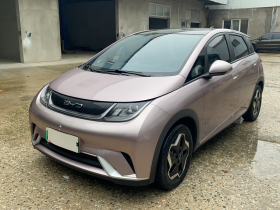 比亚迪 海豚 2021款 405km 时尚版