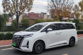 腾势D9 2022款 DM-i 1040 尊贵型