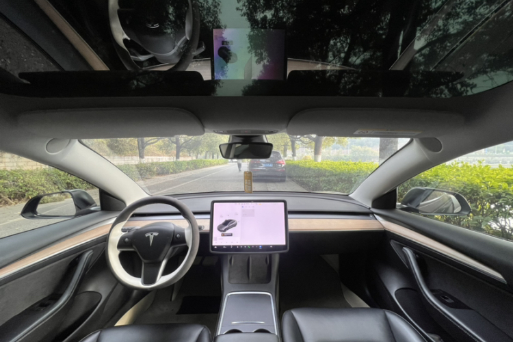 特斯拉 Model 3 2021款 标准续航后驱升级版 3D6局部细节22
