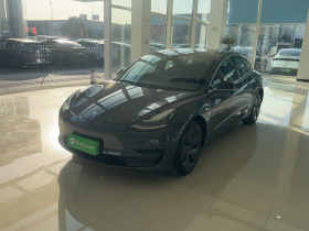特斯拉 Model 3 2019款 标准续航后驱升级版