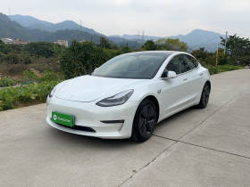 特斯拉 Model 3(进口) 2019款 长续航全轮驱动版