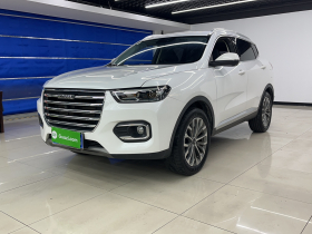 哈弗H6 2020款 1.5GDIT 自动铂金冠军版