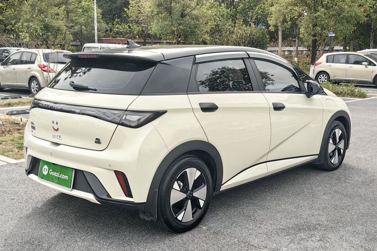 比亚迪 海豚 2023款 420km 时尚版车身外观6004