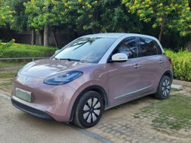 五菱汽车 五菱缤果 2023款 333km 悦享+款