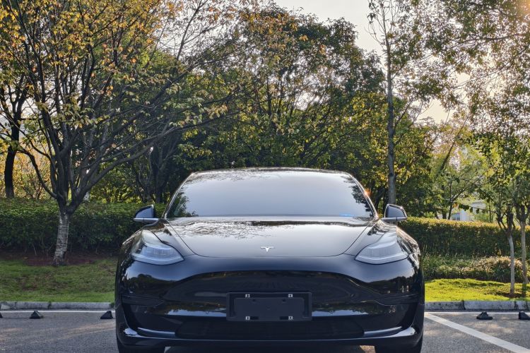 特斯拉 Model 3 2020款 改款 标准续航后驱升级版车身外观6001