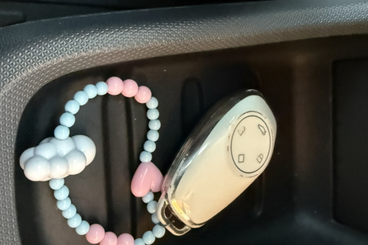 零跑汽车 零跑T03 2021款 400豪华版中控内饰7007