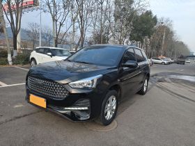 哈弗M6 2019款 1.5T DCT两驱超值版 国VI