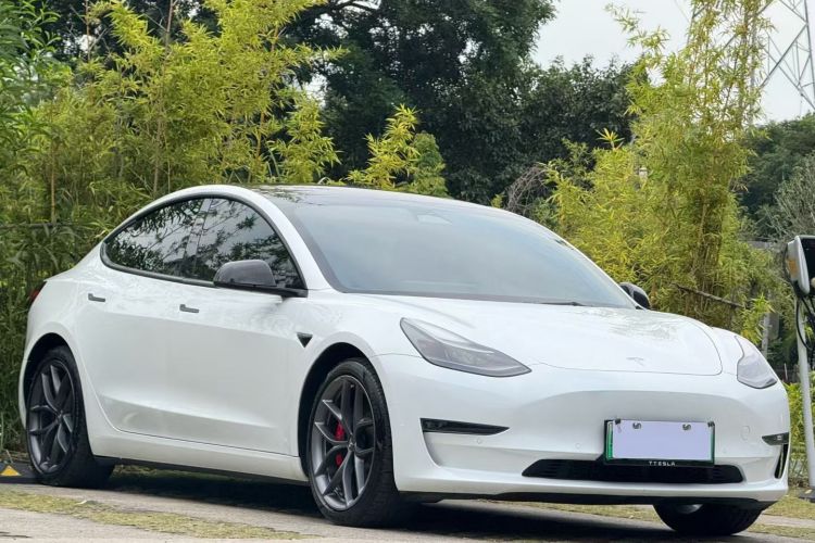 特斯拉 Model 3 2022款 Performance高性能全轮驱动版车身外观6003