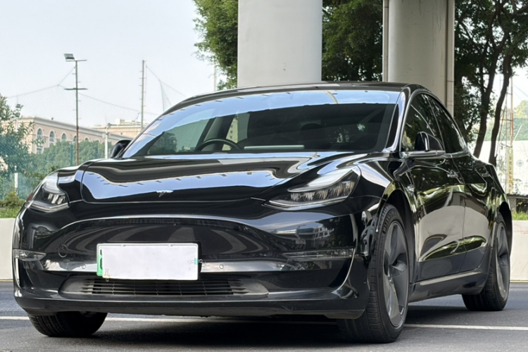 特斯拉 Model 3(进口) 2019款 长续航后驱版车身外观6002