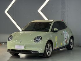 欧拉好猫 2022款 400km标准续航 尊贵型 磷酸铁锂