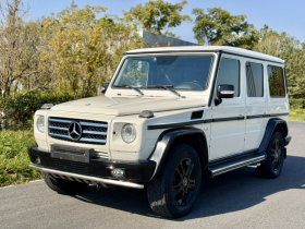 奔驰G级 2010款 G 500