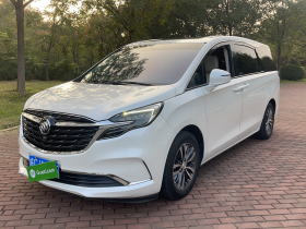 别克GL8 2020款 ES陆尊 653T 舒适型