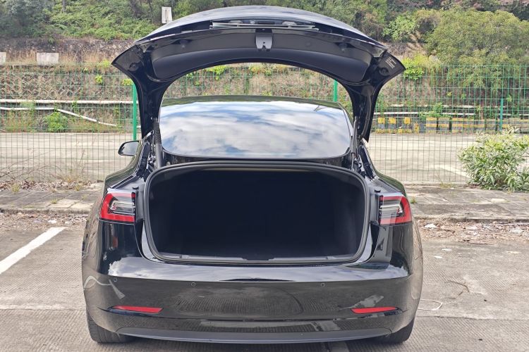 特斯拉 Model 3 2021款 标准续航后驱升级版车身外观6009