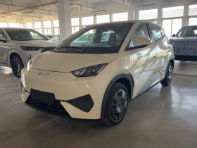 比亚迪 海鸥 2025款 智驾版 305km 活力版