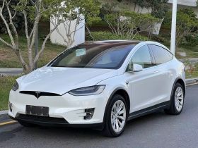 特斯拉 Model X 2019款 长续航版