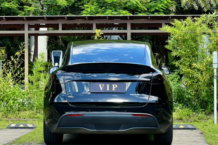 特斯拉 Model Y 2021款 标准续航后驱版车身外观6006