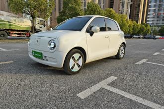 欧拉黑猫 2021款 301km 基础型