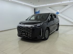 比亚迪 夏 2025款 DM-i 1.5T 180km 卓越型