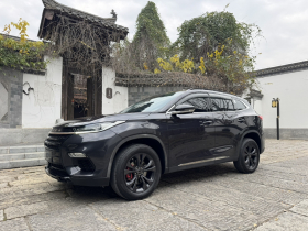 星途TX 2021款 1.6T 两驱超能3号