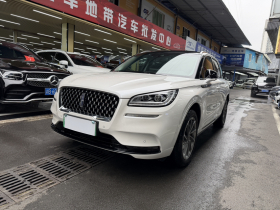 林肯 冒险家新能源 2021款 PHEV 四驱e雅版