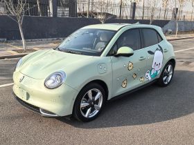 欧拉好猫 2023款 401km标准续航 尊荣型 磷酸铁锂