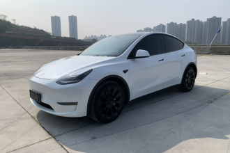 特斯拉 Model Y 2021款 长续航全轮驱动版 3D7