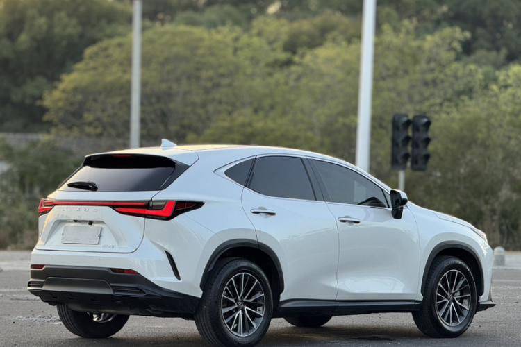 雷克萨斯NX 2022款 260 前驱 创悦版车身外观6006