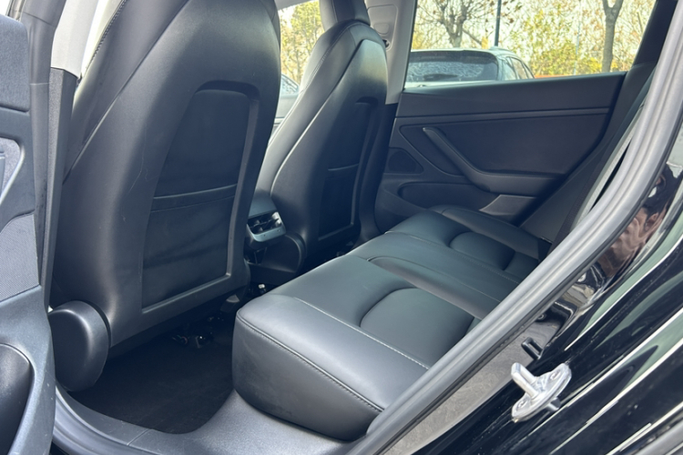 特斯拉 Model 3 2020款 标准续航后驱升级版中控内饰7010