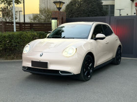 欧拉好猫 2024款 401km 豪华型