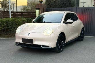 欧拉好猫 2024款 401km 豪华型