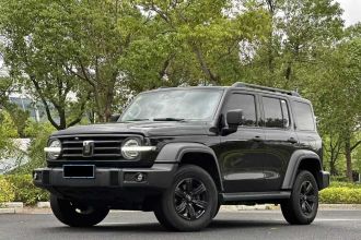 坦克300 2024款 2.0T 征服者