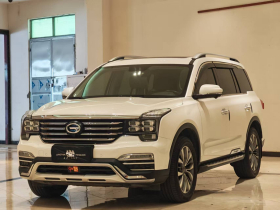 广汽传祺 传祺GS8 2017款 320T 两驱豪华智联版（七座）